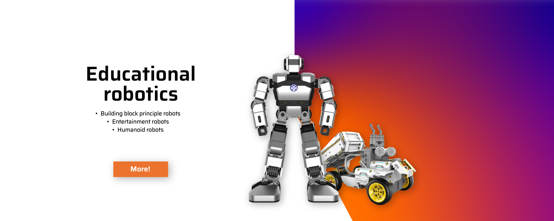 Educational robotics