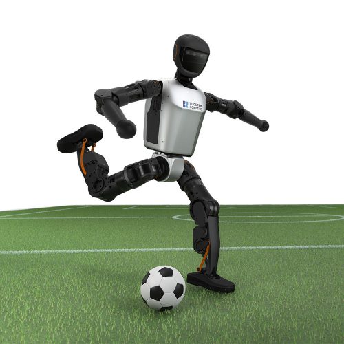 BOOSTER T1 - High-Performance Versatile Humanoid Robot -  DEXTEROUS HAND