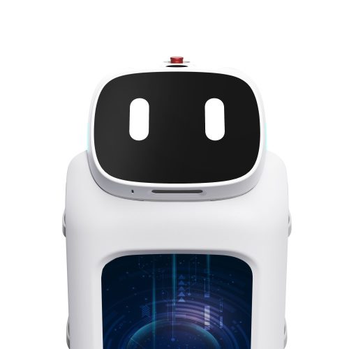 UBTECH CADEBOT L100 - Intelligent service Robot
